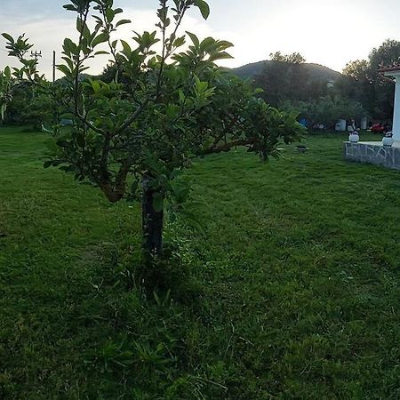 Вилла Olbia Grazioso Bilo In Periferia Sole Ruiu Экстерьер фото