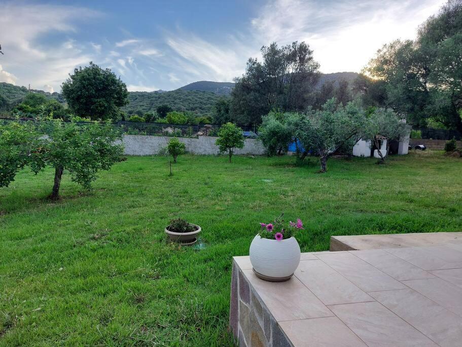 Вилла Olbia Grazioso Bilo In Periferia Sole Ruiu Экстерьер фото