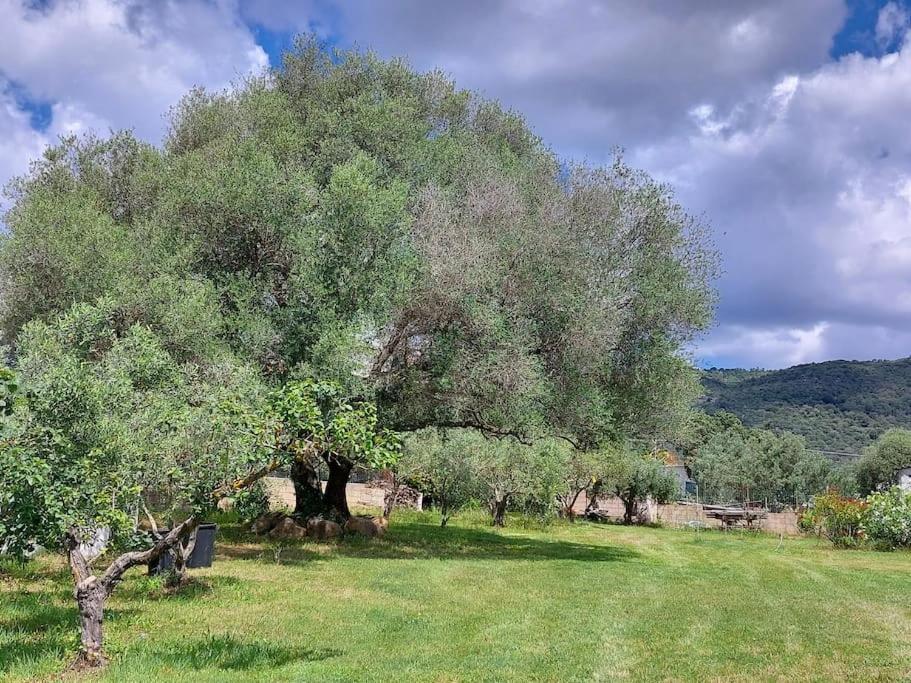 Вилла Olbia Grazioso Bilo In Periferia Sole Ruiu Экстерьер фото